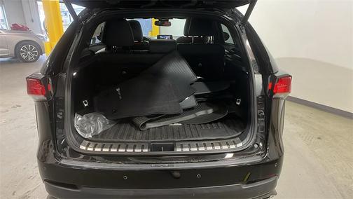 2020 Lexus NX 300 F Sport