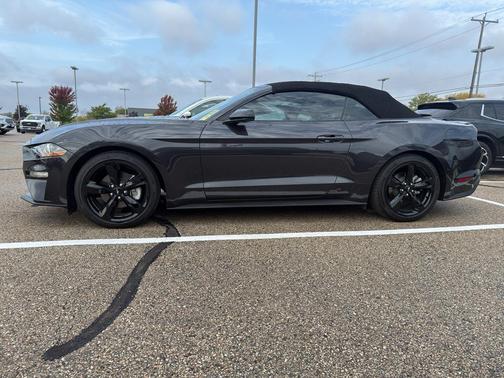 2022 Ford Mustang EcoBoost