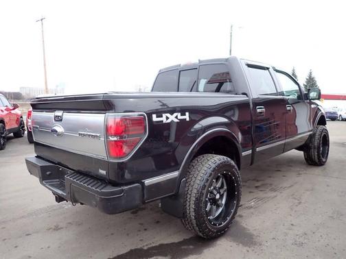 2010 Ford F-150 Platinum