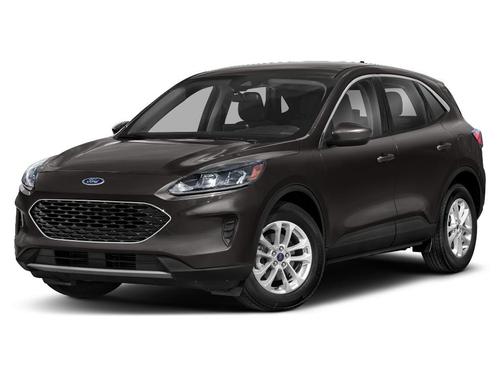 Magnetic 2020 Ford Escape SE