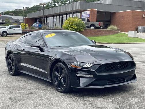 Shadow Black 2022 Ford Mustang EcoBoost