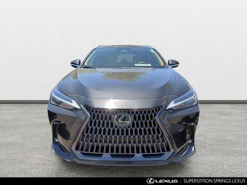 Caviar 2025 Lexus NX 250 Premium