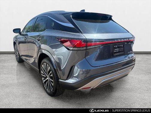Cloudburst Gray 2024 Lexus RX 350 Premium Plus