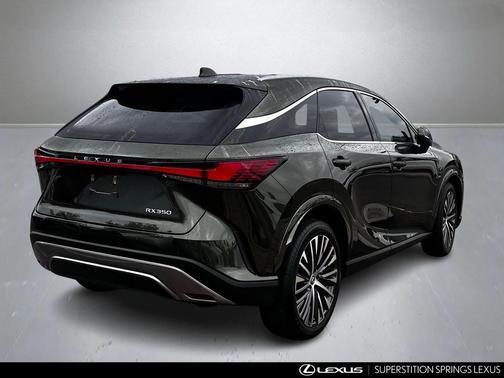 2023 Lexus RX 350 Premium Plus