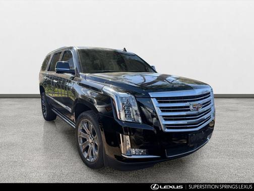 Black Raven 2018 Cadillac Escalade Platinum