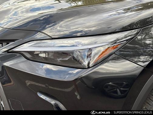2025 Lexus NX 250 Premium