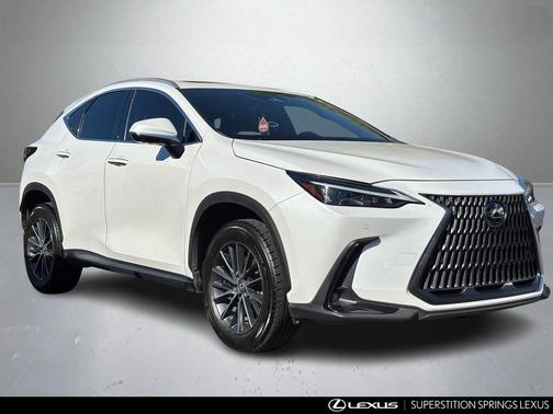 2022 Lexus NX 250 Luxury