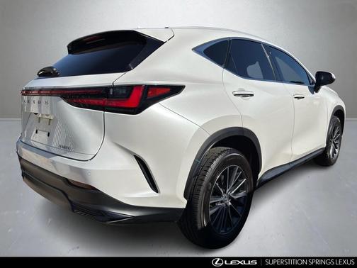 2022 Lexus NX 250 Luxury