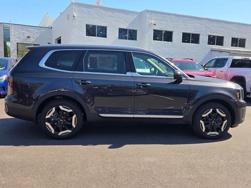 Panthera Metal 2025 Kia Telluride EX
