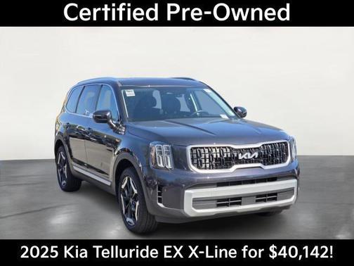 Panthera Metal 2025 Kia Telluride EX