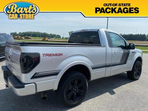 Ingot Silver Metallic 2014 Ford F-150 FX4