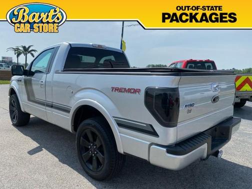 Ingot Silver Metallic 2014 Ford F-150 FX4