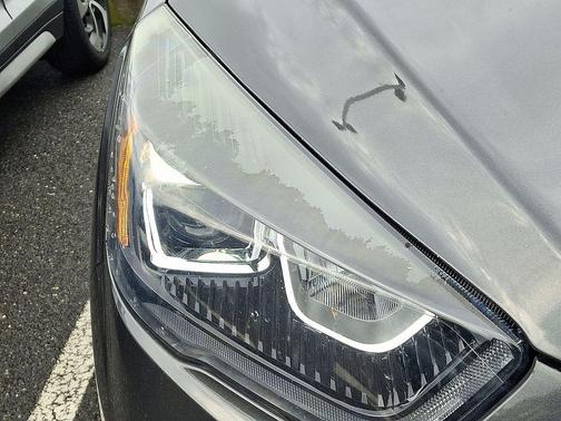 Magnetic 2018 Ford Escape SE