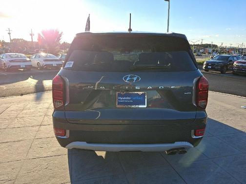 Rainforest 2021 Hyundai PALISADE SEL