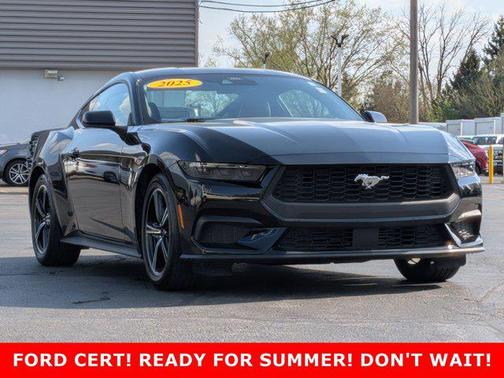 SHADOW BLACK 2025 Ford Mustang EcoBoost Premium