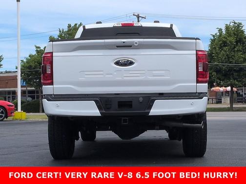 OXFORD WHITE 2023 Ford F-150 XLT
