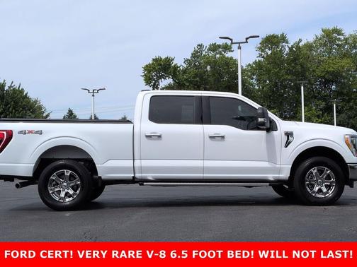 OXFORD WHITE 2023 Ford F-150 XLT