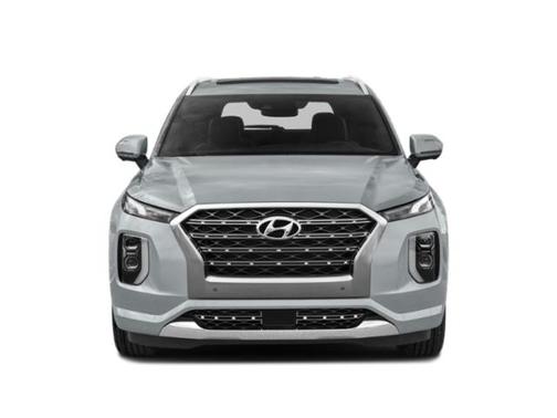 Steel Graphite 2020 Hyundai PALISADE Limited