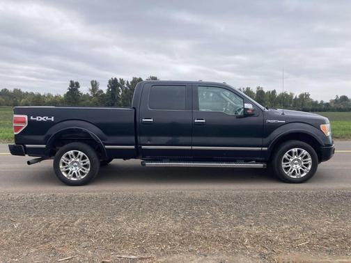 2010 Ford F-150 Platinum