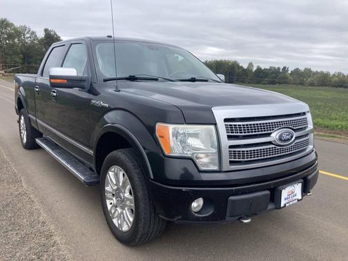 2010 Ford F-150 Platinum