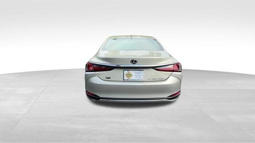 Moonbeam Beige Metallic 2021 Lexus ES 250 Base