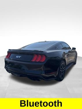 SHADOW BLACK 2019 Ford Mustang GT