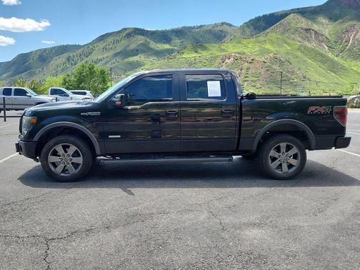 Tuxedo Black Metallic 2014 Ford F-150 FX4