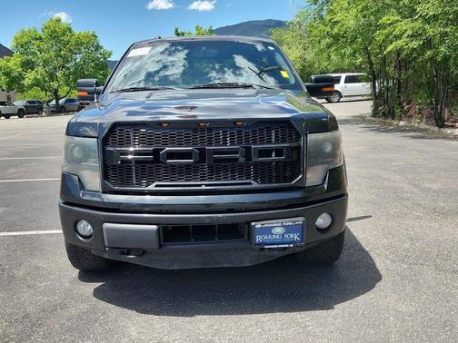 Tuxedo Black Metallic 2014 Ford F-150 FX4