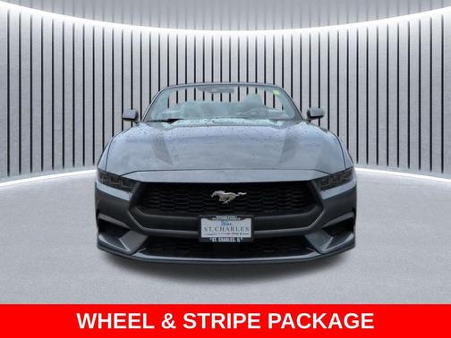 Carbonized Gray Metallic 2025 Ford Mustang EcoBoost Premium