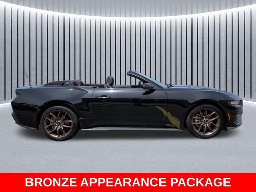 Shadow Black 2025 Ford Mustang EcoBoost Premium