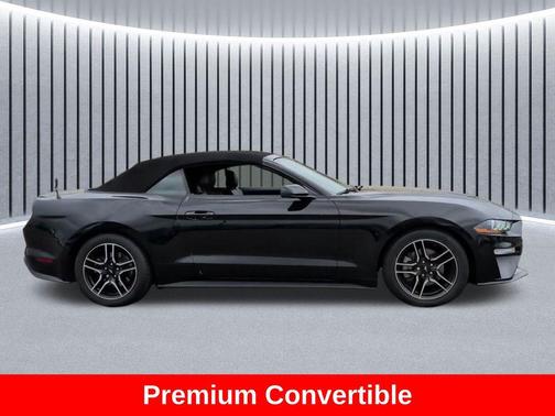 Shadow Black 2019 Ford Mustang EcoBoost Premium