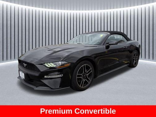 Shadow Black 2019 Ford Mustang EcoBoost Premium