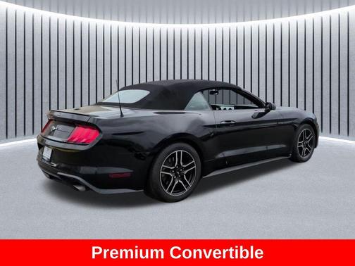 Shadow Black 2019 Ford Mustang EcoBoost Premium