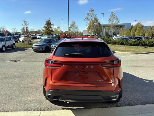 2023 Lexus NX 250 Premium