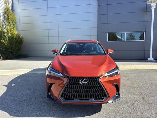 2023 Lexus NX 250 Premium