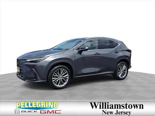2024 Lexus NX 350 Luxury