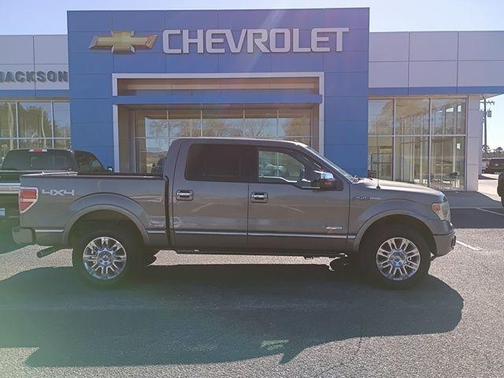 2014 Ford F-150 Platinum