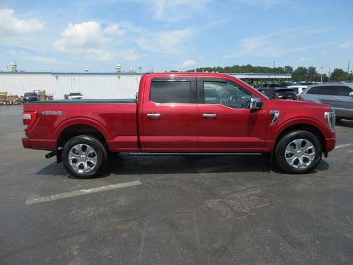 2021 Ford F-150 Platinum