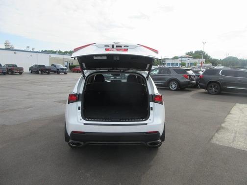 2020 Lexus NX 300 Base
