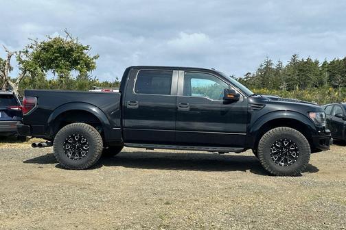Tuxedo Black Metallic 2014 Ford F-150 SVT Raptor