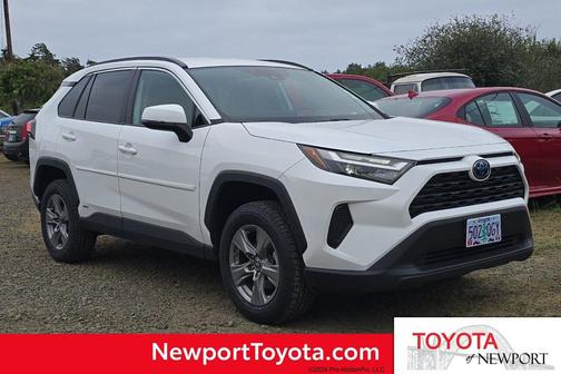 Ice 2023 Toyota RAV4 Hybrid LE