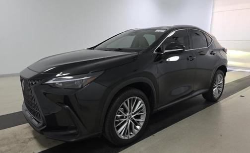 2025 Lexus NX 350 Premium