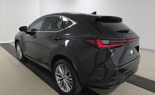 2025 Lexus NX 350 Premium