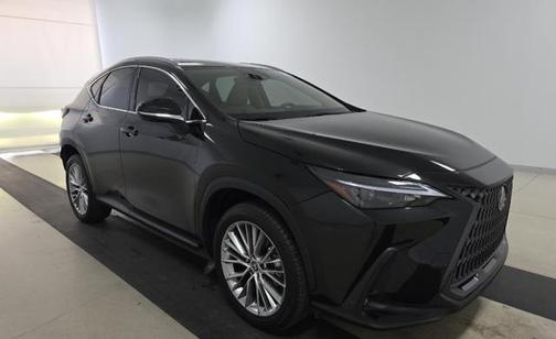 2025 Lexus NX 350 Premium