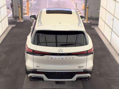 Majestic White 2023 INFINITI QX60 SENSORY