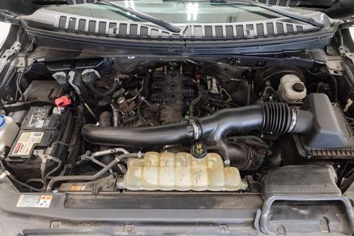 Magnetic 2021 Ford Expedition Max Limited