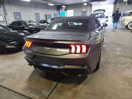 Gray Metallic 2025 Ford Mustang EcoBoost Premium