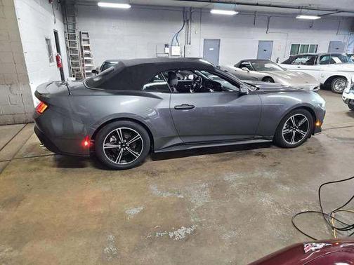 Gray Metallic 2025 Ford Mustang EcoBoost Premium