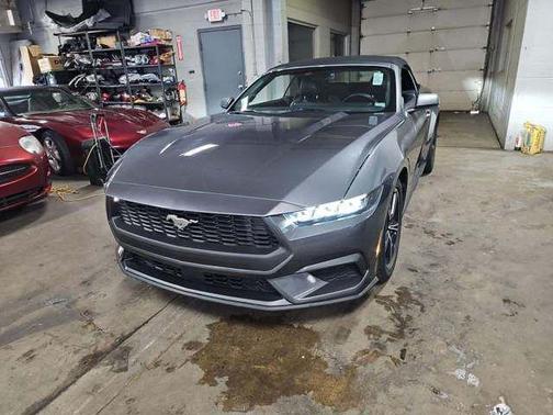 Gray Metallic 2025 Ford Mustang EcoBoost Premium