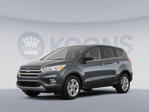 Magnetic 2018 Ford Escape SE